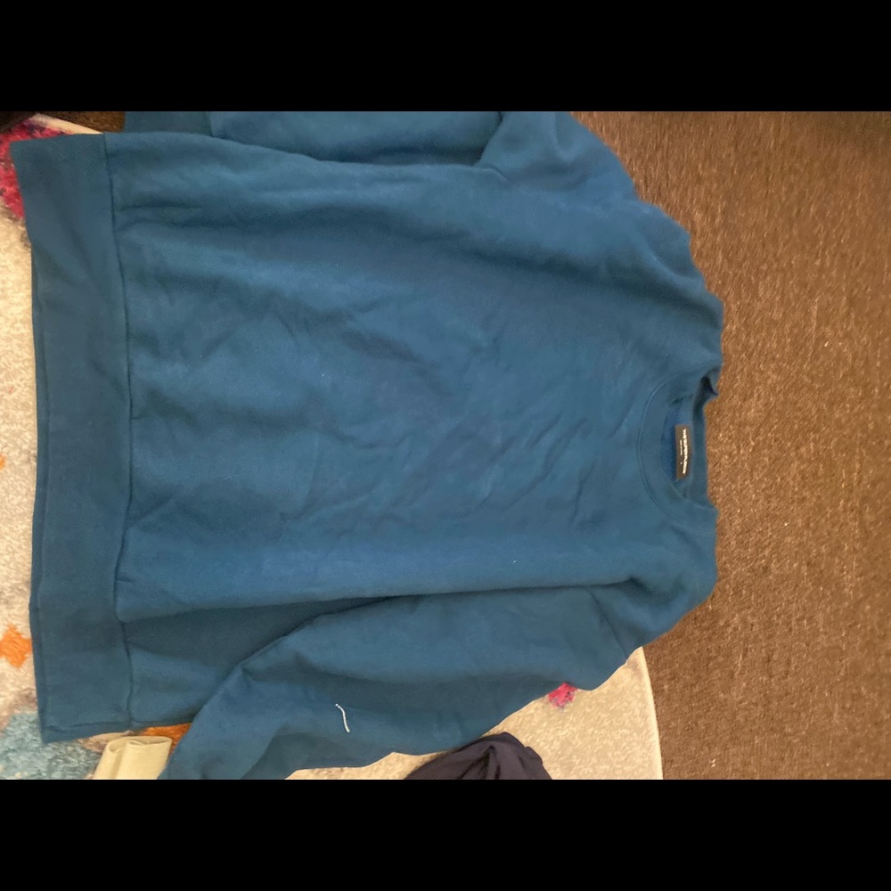 Aritzia sweatshirt